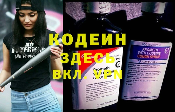 трава Абаза