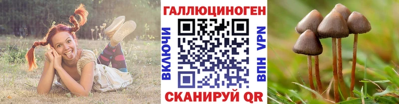 дарк нет какой сайт  купить наркотики сайты  Ханты-Мансийск  Псилоцибиновые грибы Psilocybe 