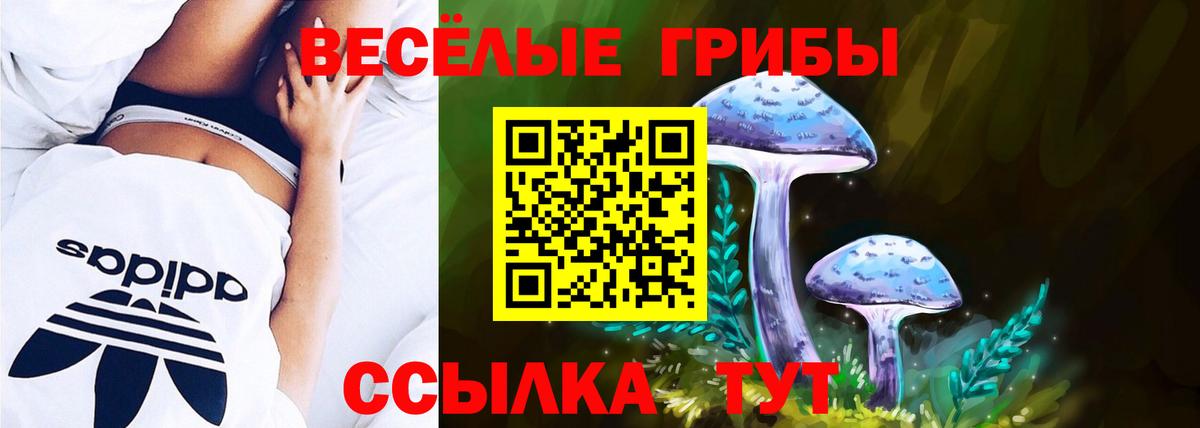 Галлюциногенные грибы Psilocybe Ханты-Мансийск